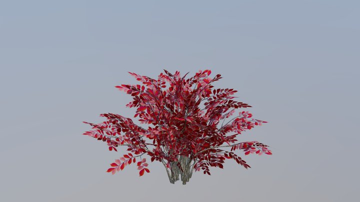 Bush (low poly) 3D Model