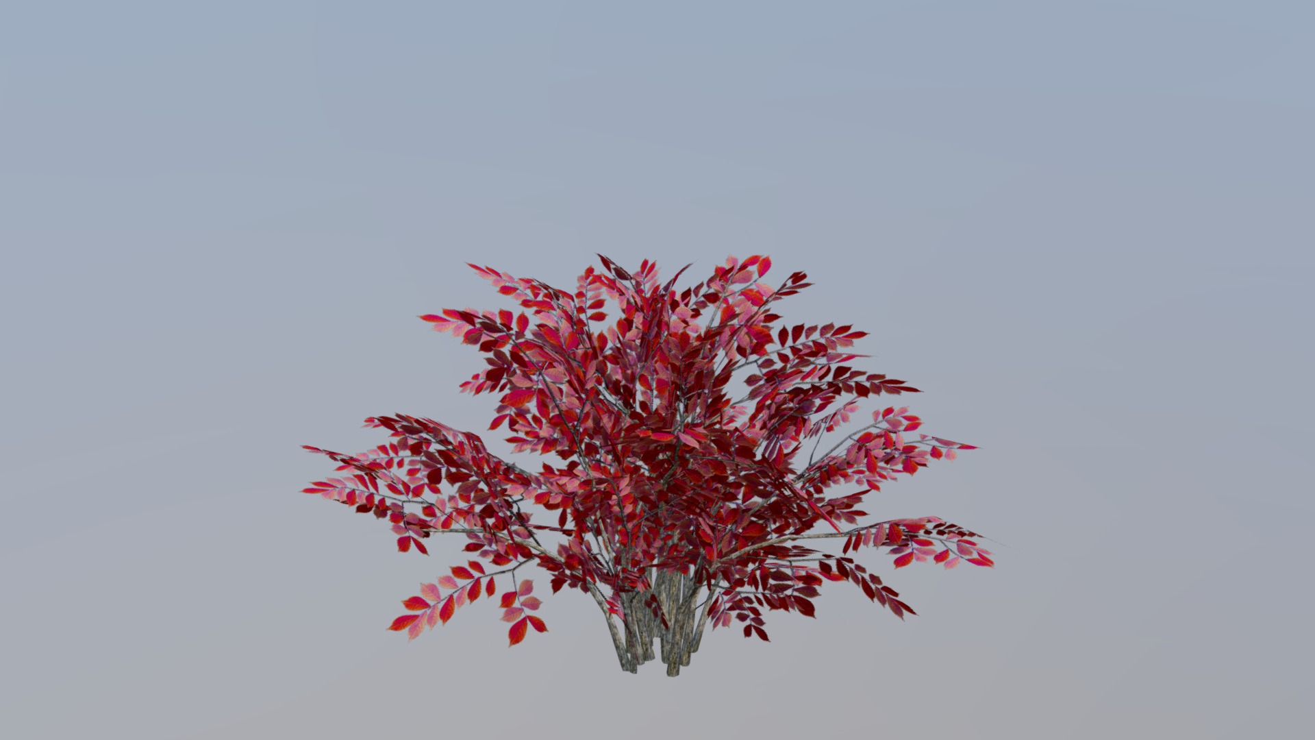 3D model Bush (low poly) - This is a 3D model of the Bush (low poly). The 3D model is about a tree with red leaves.