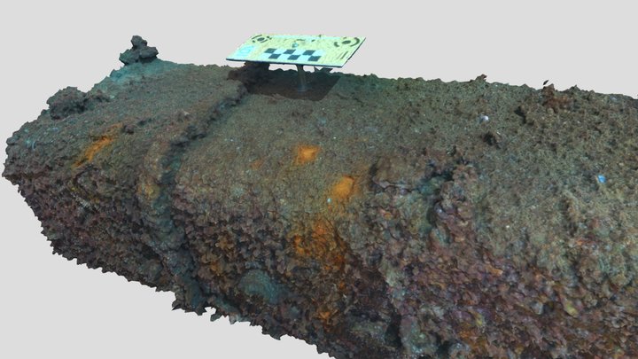 Relitto del Paguro 3D Model