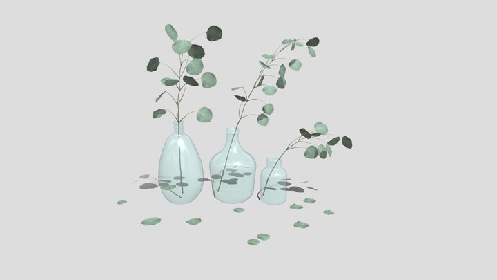 Eucalyptus 3D Model