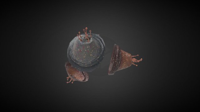 ICAR_Anemonique 3D Model