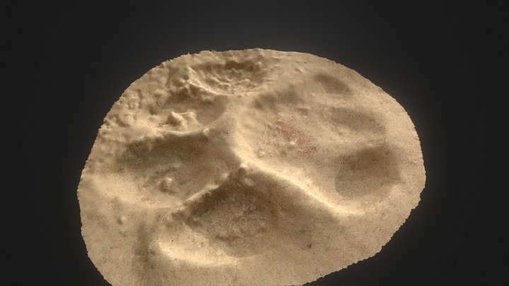Tiger Footprint 3D Model
