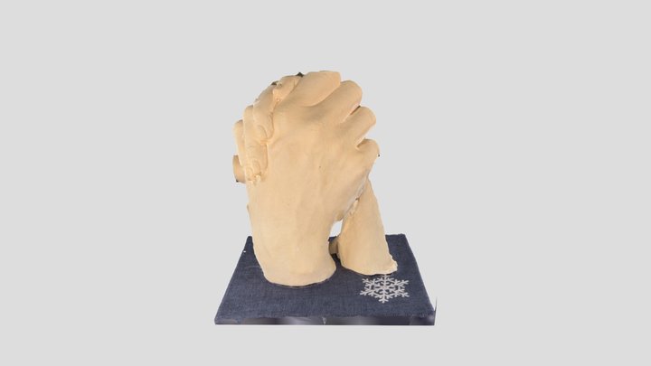 Scan 2023-01-02T20:23:36.066Z 3D Model