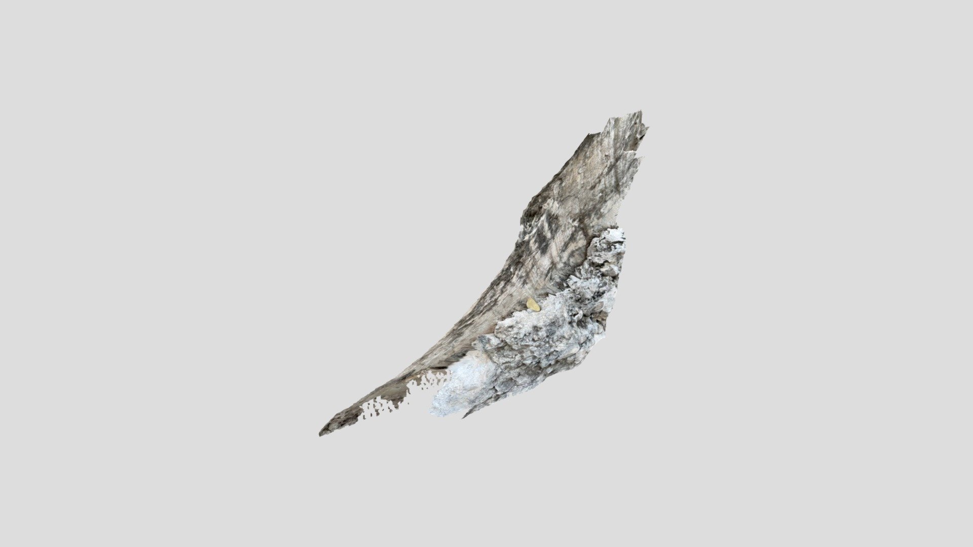 Fault 1