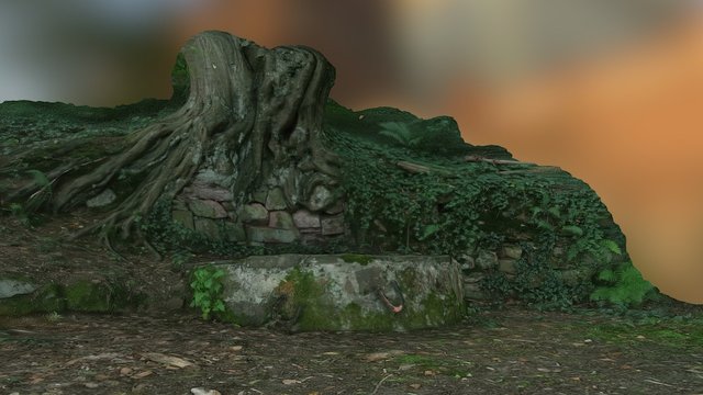 Forest Well 3D Model