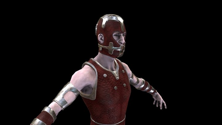 Warrior V1 3D Model