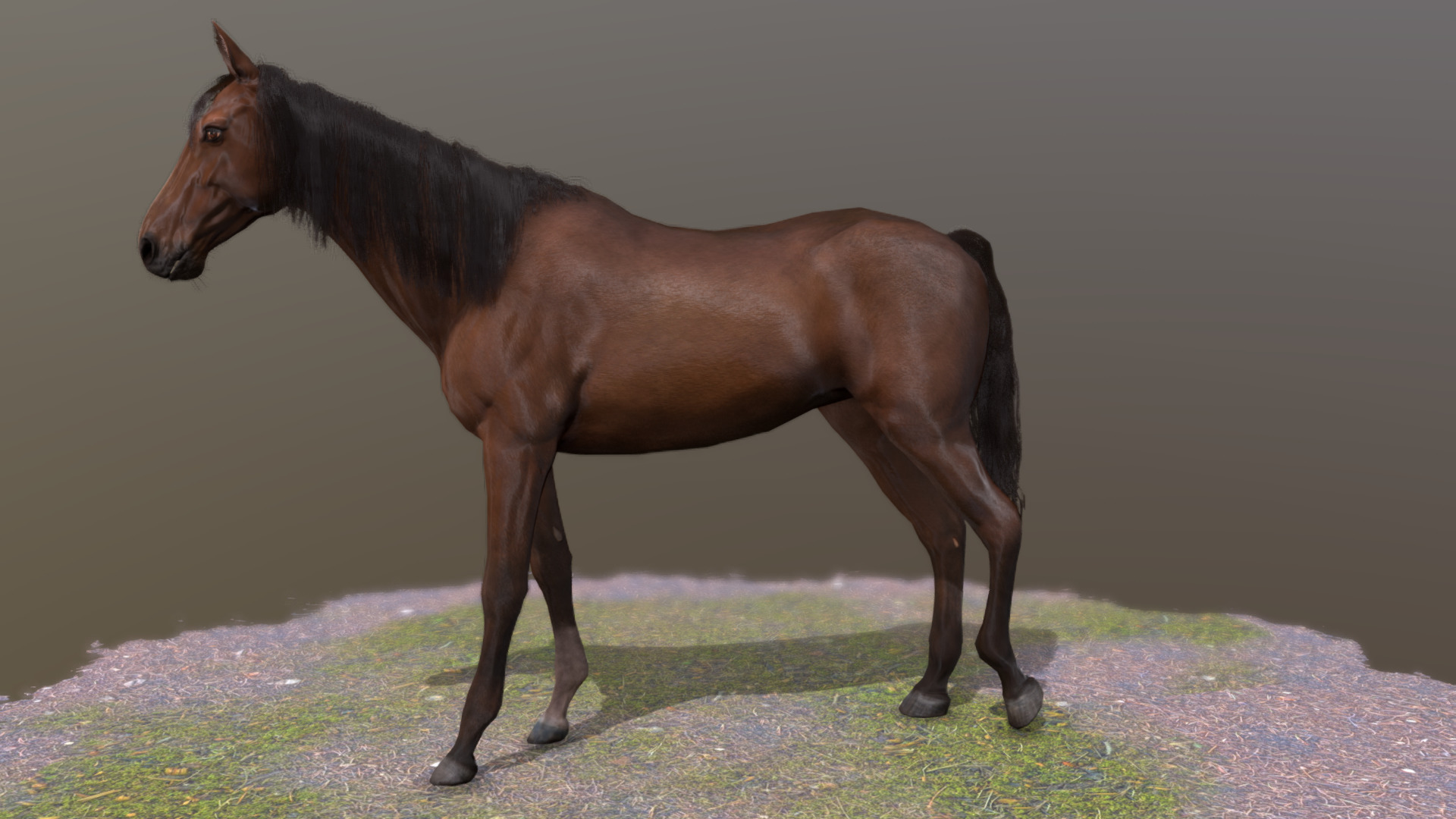 3D model Horse standing Pose 2 - This is a 3D model of the Horse standing Pose 2. The 3D model is about a brown horse standing on a green field.