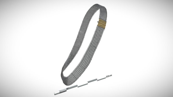 The belt-like object from Vimose (2) 3D Model