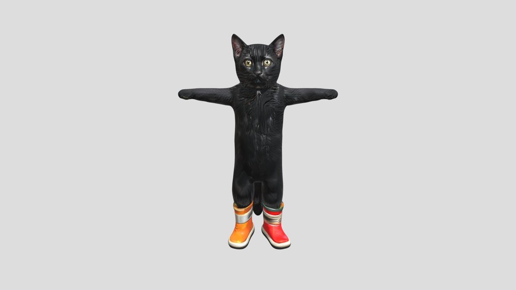 Cat in boots standing