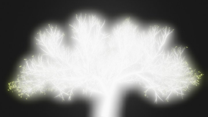 Oak Tree 3D Model