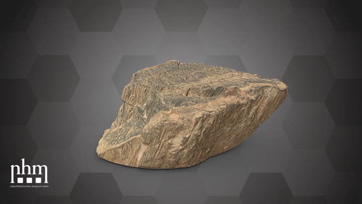Fossil wood (NHMW-GEO-2024/0188/11589) – Kostenloses 3D-Modell STL
