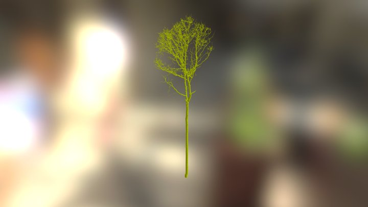 Straits / Oak 5 3D Model