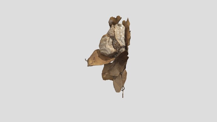 honeycomb 3D Model