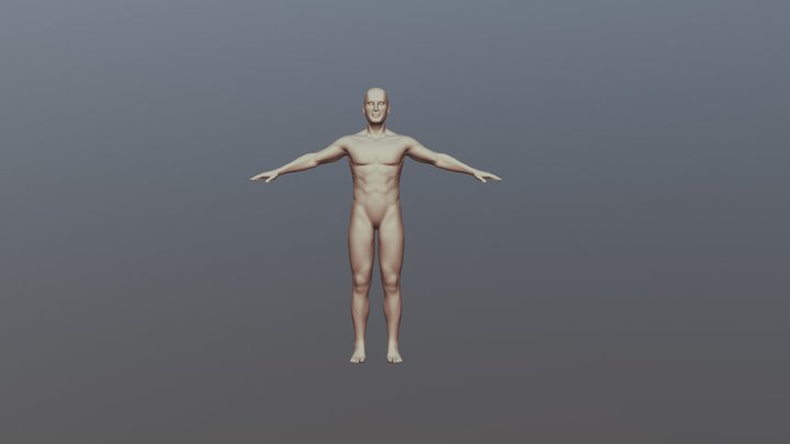 Realistic Human Figure 3D Model