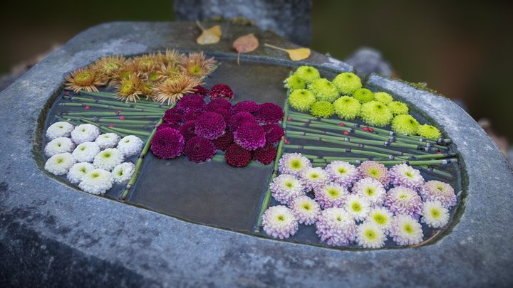 Flowers Chozu-ya (Korin Temple #3)japan