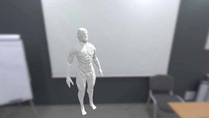 Escultura Musculo 3D Model