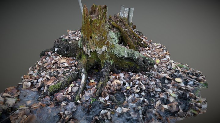 Mossy Stump 3D Model