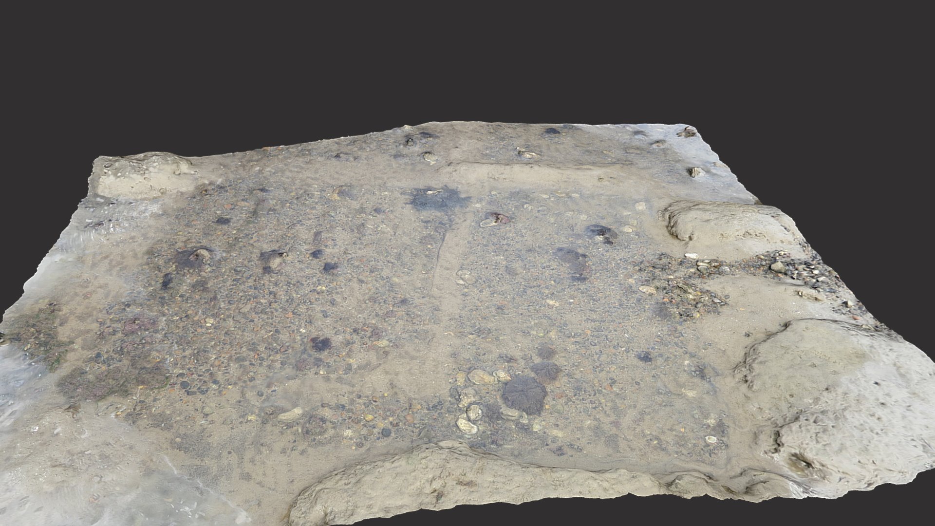 Intertidel Pits