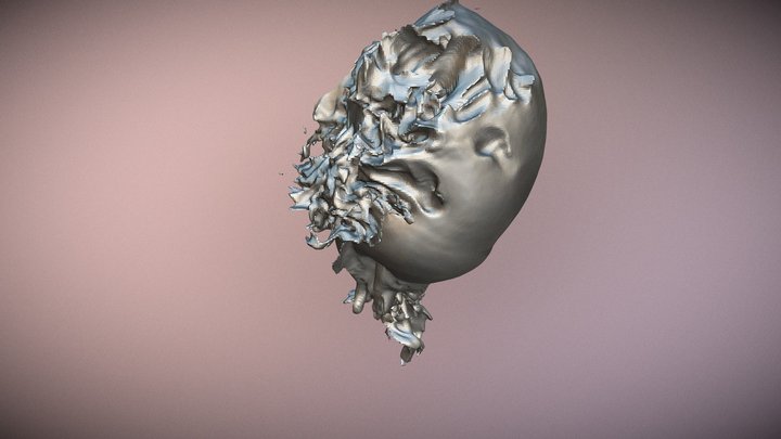 Merger of Galaxies - Enzo code 3D Model