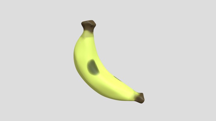 My model 3D Model