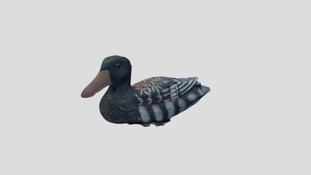 Duck-L-02