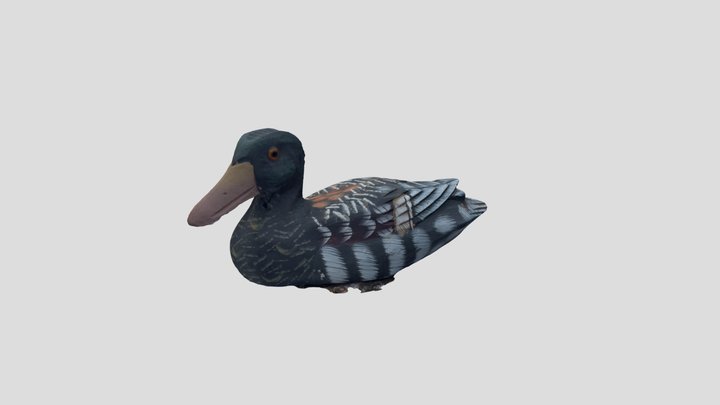 Eend-L-02 3D Model