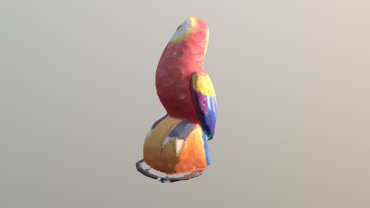 Papagei 3D Model