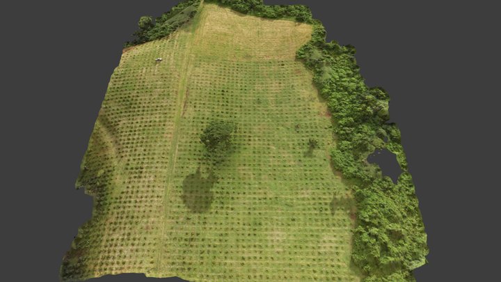 CoffeeBlock-Test 3D Model