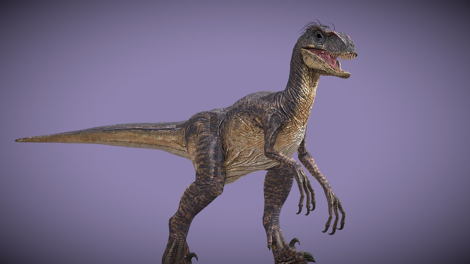 Velociraptor Jp3 Wallpaper