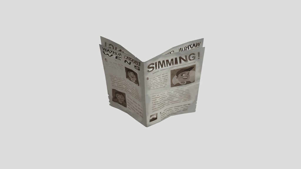 Newspaper