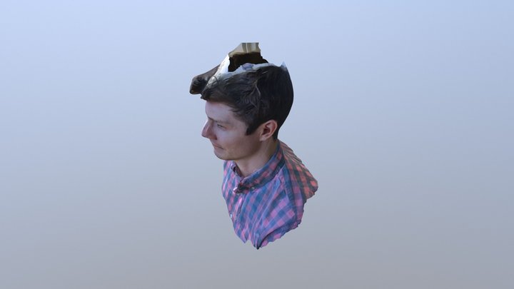 Head 3D Model