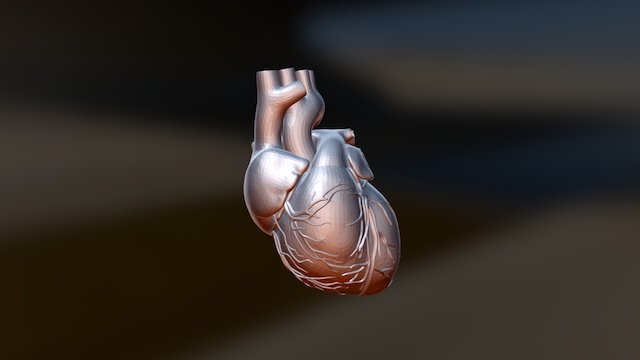 Human Heart 3D Model