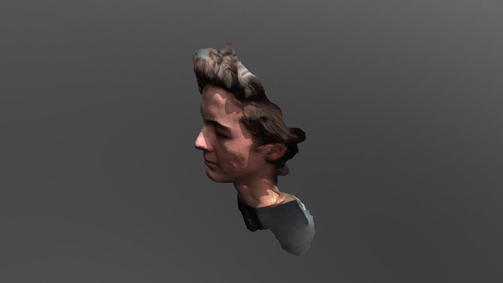 gil 3D Model