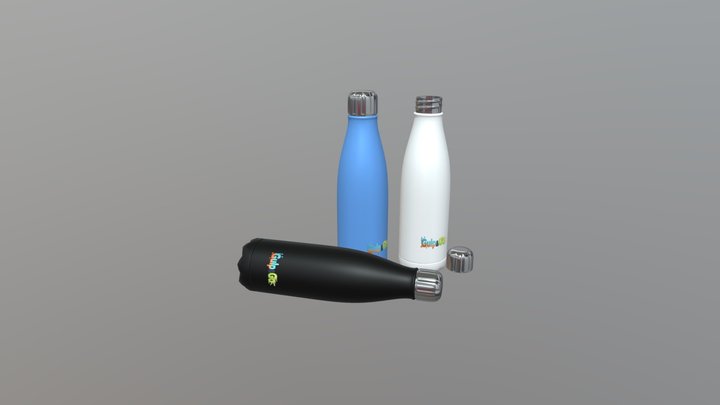 BOTTLE 3D Model