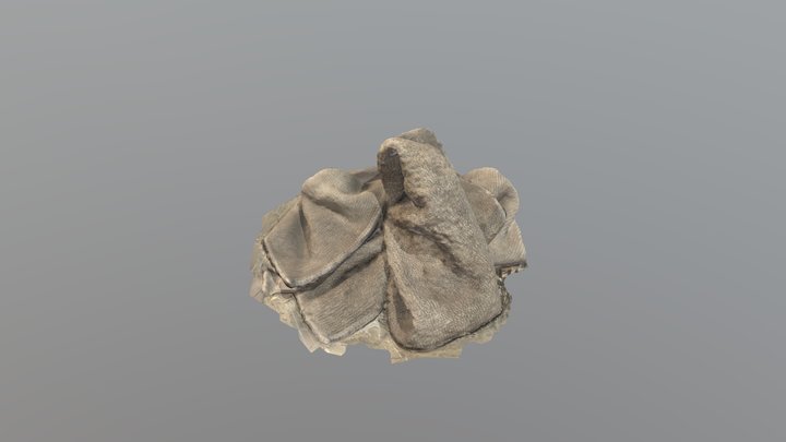 Dirty Rag 3-22 Kiri 3D Model