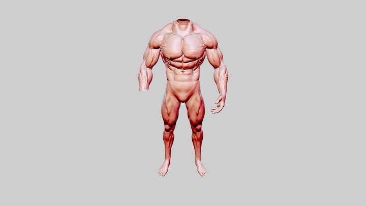 bodybuilder_base_mesh_white 3D Model