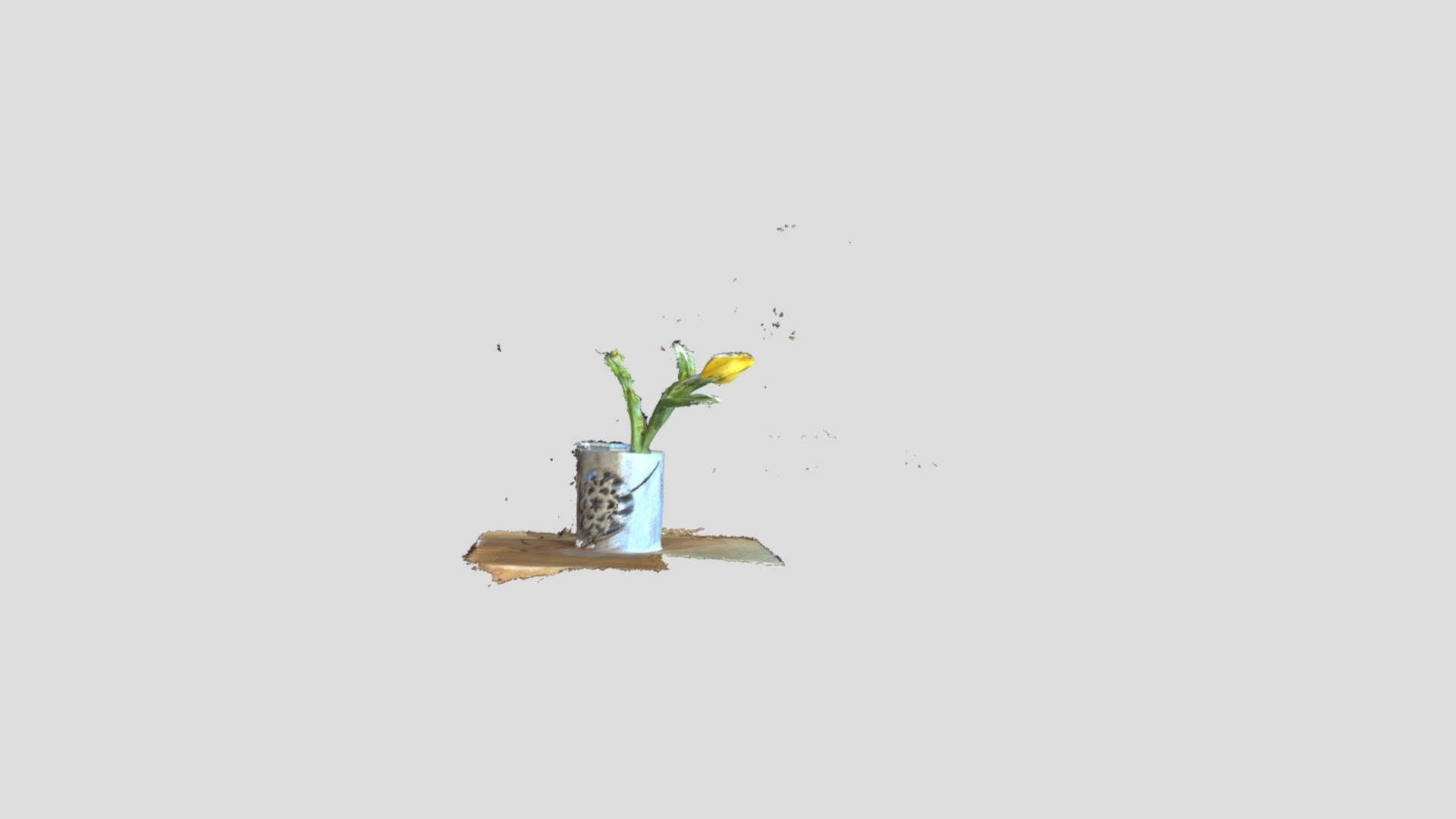 Single Tulip In Vase-m