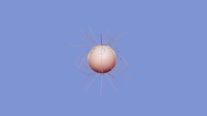 [Sun] Magnetic Fieldlines 3D Model