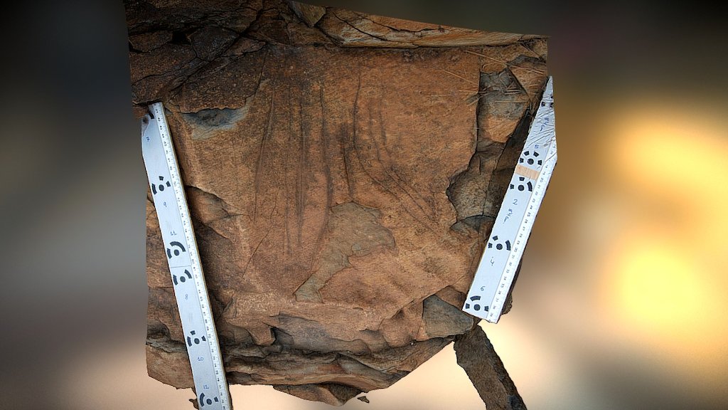 Grabados Rupestres, Bisechi 8.