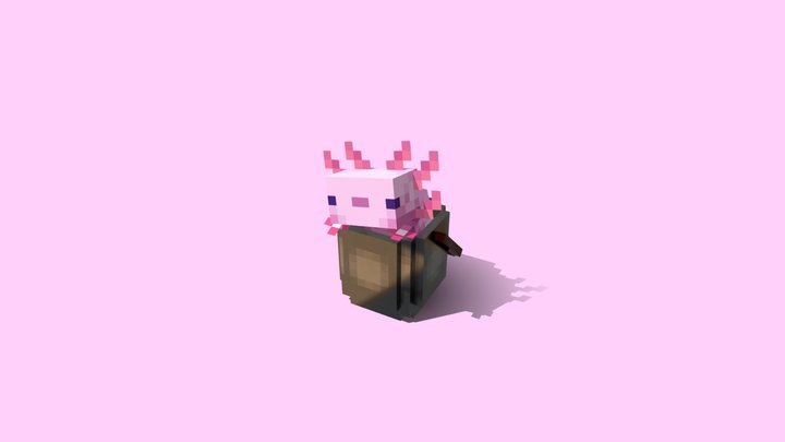 Axolotl In A Bucket 3D Model