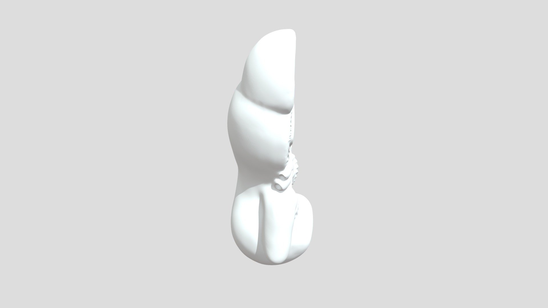 Kidney for 3d print - 3D model by czyplakov217 [eddbde5] - Sketchfab