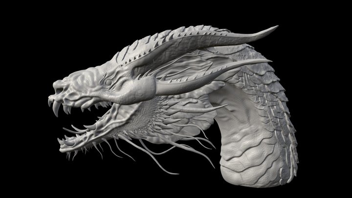 Dragon Sculpt 3D Model