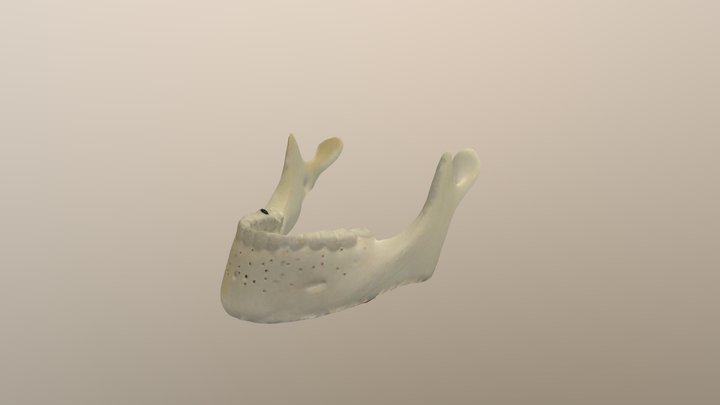 New cavity 3D Model