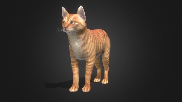 Cat Simple 3D Model