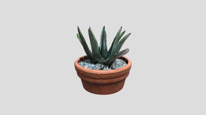 export 3D Model