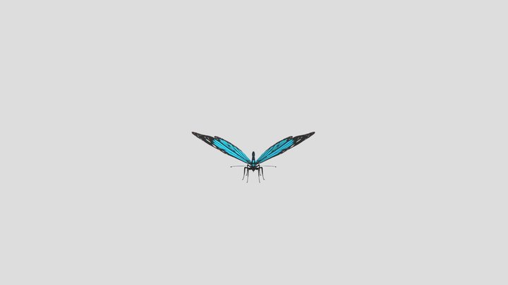 Dark Blue Tiger Butterfly 3D Model
