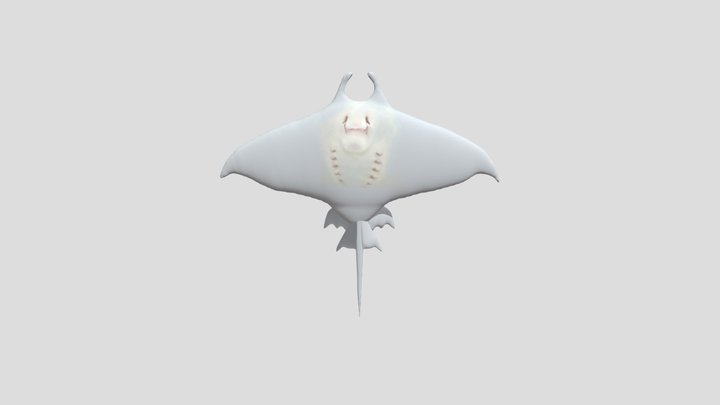 Ikan Pari | Stingray 3D Model