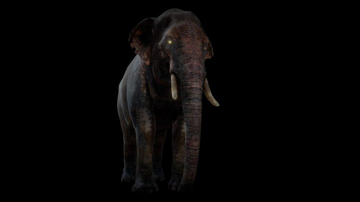 elephant 3D Model