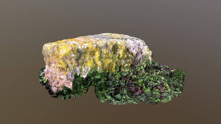 3D Scanned Rock 3D Model