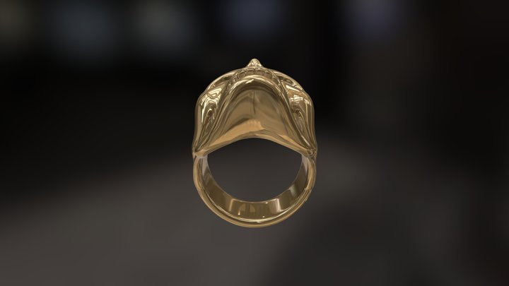 Ring Skull 3D Model